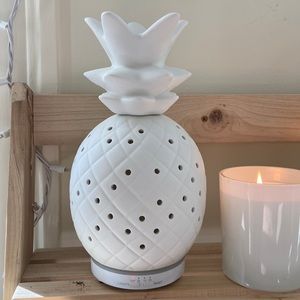 Pineapple Diffuser